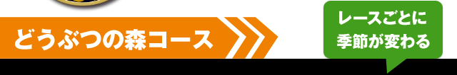 レースごとに季節が変わる どうぶつの森コース