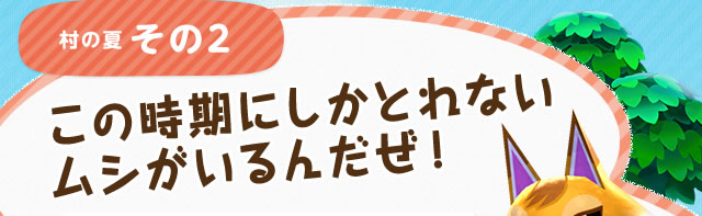 ���̉Ă���2�@���̎����ɂ����Ƃ�Ȃ����V������񂾂��I