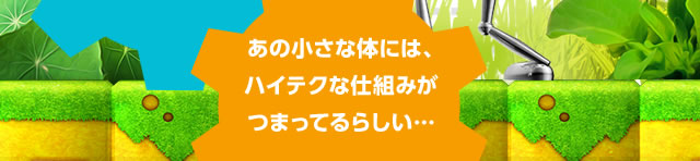 ���̏����ȑ̂ɂ́A�n�C�e�N�Ȏd�g�݂��܂��Ă�炵���c