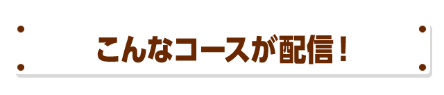 ����ȃR�[�X���z�M�I