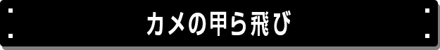 カメの甲ら飛び