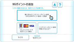 画面写真：Wiiポイントの購入方法
