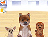 『nintendogs』
