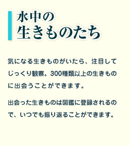 �����̐���������