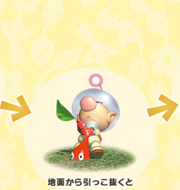 �n�ʂ��������������