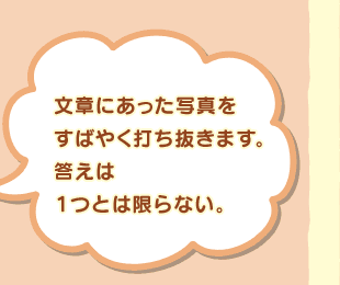 ���͂ɂ������ʐ^�����΂₭�ł������܂��B�����͂P�Ƃ͌���Ȃ��B