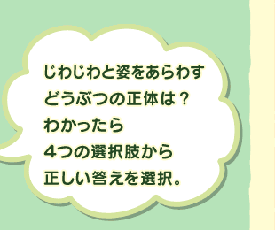 ���킶��Ǝp������킷�ǂ��Ԃ̐��̂́H�킩������S�̑I�������琳����������I���B