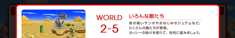 WORLD 2-5