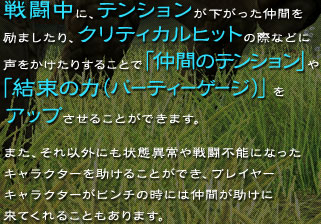 �퓬���ɁA�e���V�����������������Ԃ��܂�����A�N���e�B�J���q�b�g�̍ۂȂǂɐ����������肷�邱�ƂŁu���Ԃ̃e���V�����v��u�����̗́i�p�[�e�B�[�Q�[�W�j�v���A�b�v�����邱�Ƃ��ł��܂��B�܂��A����ȊO�ɂ���Ԉُ��퓬�s�\�ɂȂ����L�����N�^�[�������邱�Ƃ��ł��A�v���C���[�L�����N�^�[���s���`�̎��ɂ͒��Ԃ������ɗ��Ă���邱�Ƃ�����܂��B