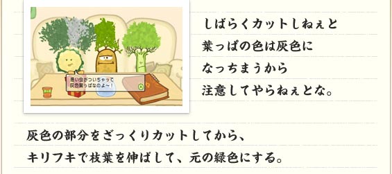 ΂炭Jbg˂Ɨtς̐F͊DFɂȂ܂璍ӂĂ˂ƂȁBDF̕JbgĂALtLŎ}tL΂āA̗ΐFɂB