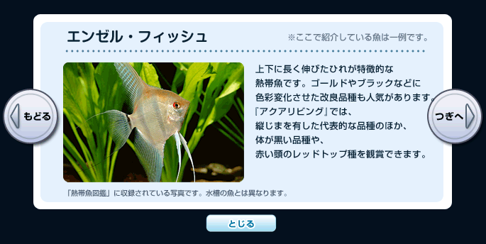 �y�G���[���E�t�B�b�V���z�㉺�ɒ����L�т��Ђꂪ�����I�ȔM�ы��ł��B�S�[���h��u���b�N�ȂǂɐF�ʕω����������Ǖi����l�C������܂��B�w�A�N�A���r���O�x�ł́A�c���܂�L������\�I�ȕi��̂ق��A�̂������i���A�Ԃ����̃��b�h�g�b�v����Ϗ܂ł��܂��B�������ŏЉ�Ă��鋛�͈��ł��B | �u�M�ы��}�Ӂv�Ɏ��^����Ă���ʐ^�ł��B�����̋��Ƃ͈قȂ�܂��B