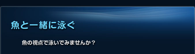 �y���ƈꏏ�ɉj���z���̎��_�ŉj���ł݂܂��񂩁H