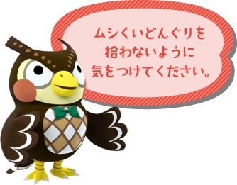 ムシくいどんぐりを拾わないように気をつけてください。