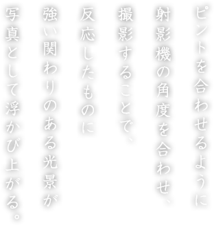 sg킹悤 ˉe@̊px킹A Be邱ƂŁA ̂ ւ̂i ʐ^Ƃĕяオ