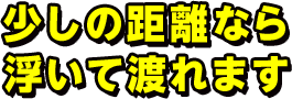 少しの距離なら浮いて渡れます 