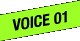 VOICE 01
