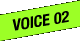 VOICE 02