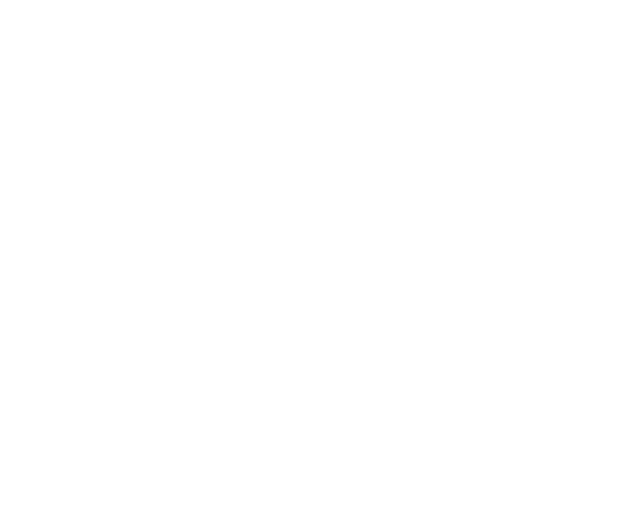 ِE̍̉qŁu[hṽ~[WB̐Eɓ]ۂɋLĂ܂ĂBEŐ`ӂ鐫iB퓬̍ۂ͌ɎpςA킢ɕsȎ̐Sp[gi[ƂȂB