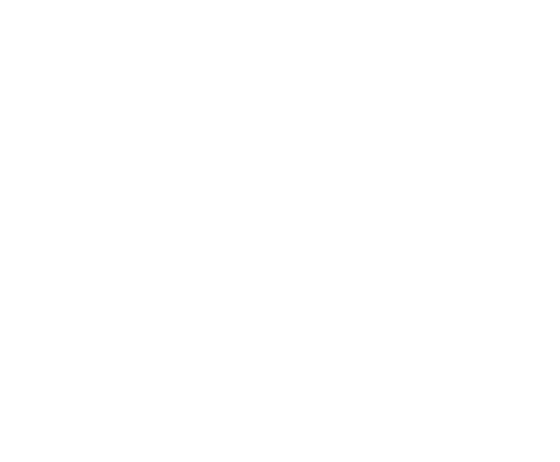 ̂_XAZȂǁAptH[}XȂV˓IȌ|\lBX̂悤ɃN[ȐiŁÅ\ɏoƂ͂߂ɂȂB@Ȃ鎞Ȃ̌rӂ炸A|\lƂĂ~[W}X^[ƂĂꗬBƂ闝RutHgiG^eCgṽ~[W}X^[̑OɗӂB