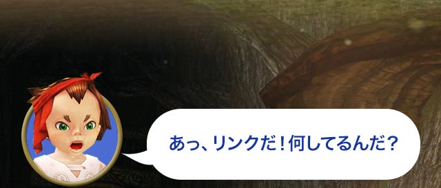 タロ「あっ、リンクだ！何してるんだ？」