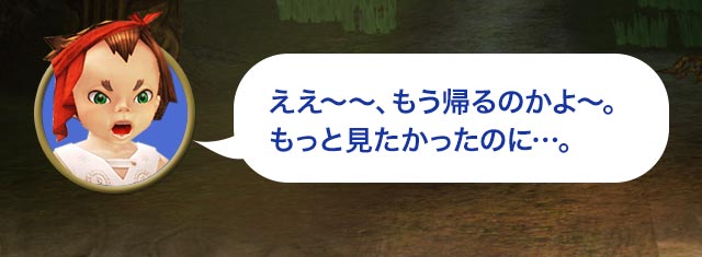 タロ「ええ～～、もう帰るのかよ～。もっと見たかったのに…。」