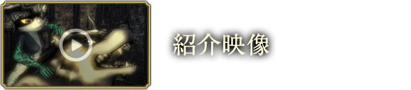 紹介映像