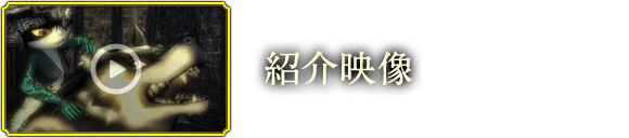 紹介映像