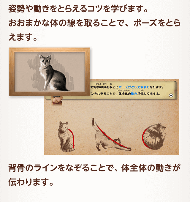 姿勢や動きをとらえるコツを学びます。おおまかな体の線を取ることで、ポーズをとらえます。背骨のラインをなぞることで、体全体の動きが伝わります。