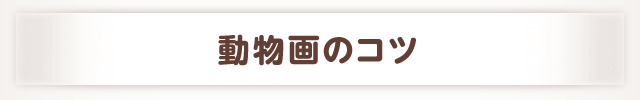 動物画のコツ