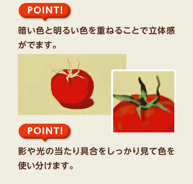 POINT!暗い色と明るい色を重ねることで立体感がでます。POINT!影や光の当たり具合をしっかり見て色を使い分けます。