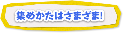 集めかたはさまざま！