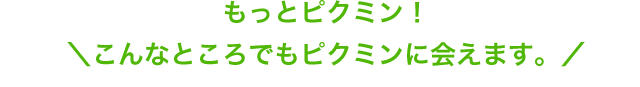 もっとピクミン!こんなところでもピクミンに会えます。